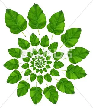 Leafs Pattern Stock Illustration
