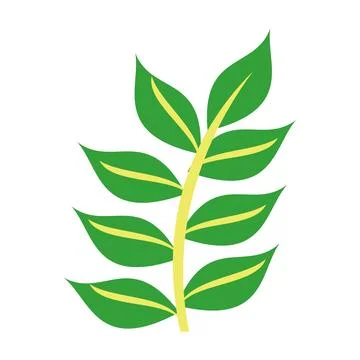 Leafs plant ecology icon vector illustration design graphic flat Stock Illustration