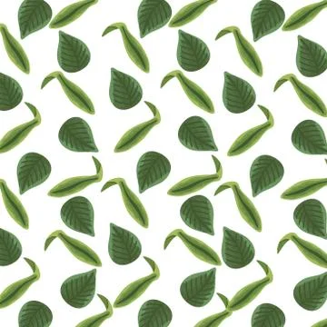 Leafs plants nature pattern background detailed style 스톡 일러스트