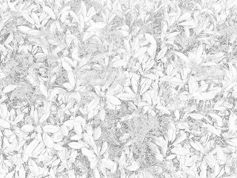 Leafs texture Stock Illustration