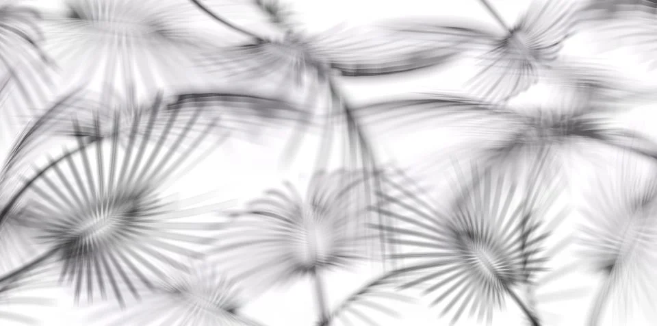 Leafs tree, blurred shadow on white background Stock Illustration