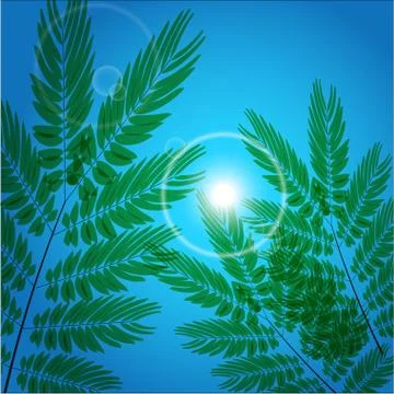 Leafs under the Sunshine among blue sky イラスト素材