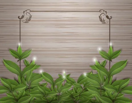 Leafs on wood with frame vector design Stock Illustration