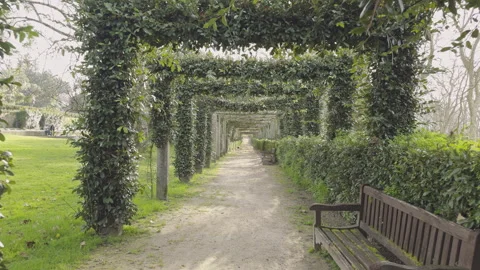 Leafy Archway on a Serene Garden Path Stock Footage 264154333