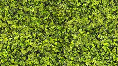 Leafy background. Seamless green background of plants. Seamless background Illustrazione stock