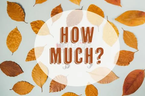 Leafy background with the words How much written in bold letters Stock Photos