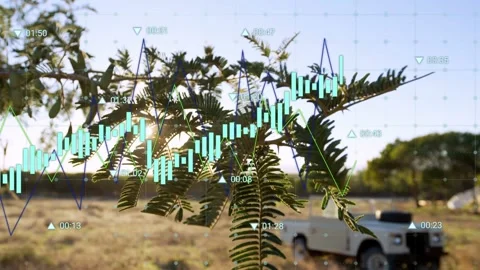 Leafy branch swaying in field, timecode running, graphs moving over branch Video stock 332981797
