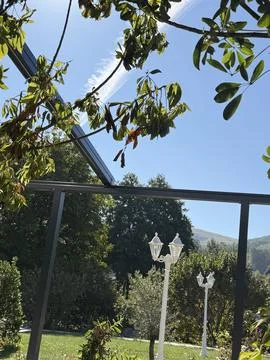 Leafy Branches Against Blue Sky Above a Garden with White Lantern Posts Stock Photos