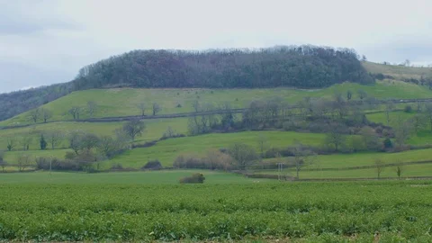 Leafy Green Hill 4k Vidéo 88069481