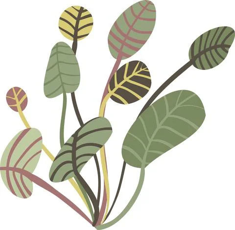 A leafy green plant simple vector illustration Stock Illustration