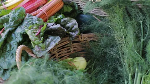 Leafy Greens and Broccoli Arranged in Baskets at Outdoor Sydney Market Stall Stock Footage 345705133