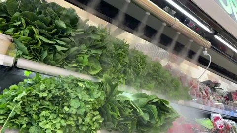 Leafy Greens with Mist Stock Footage 196974881