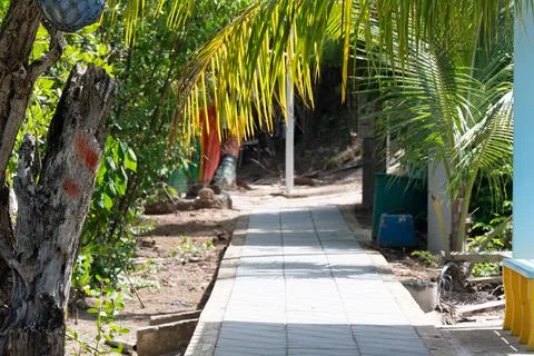 Leafy pedestrian path through a coastal community on Santa Catalina Island, Colo Stock-Fotos