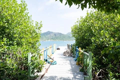 Leafy pedestrian path through a coastal community on Santa Catalina Island, Colo Фото