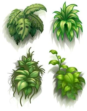 Leafy plants Illustrazione stock