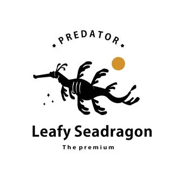 Leafy seadragon logo vector outline silhouette art icon Stock Illustration