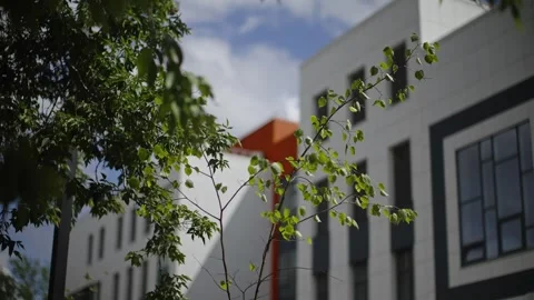 Leafy tree branches in sharp focus with a modern white building softly blurred Video stock 326064693