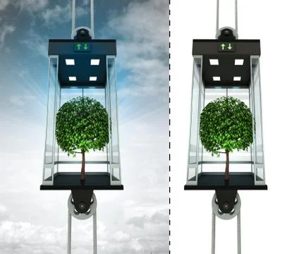 Leafy tree in sky elevator concept also isolated one illustration Stock Illustration