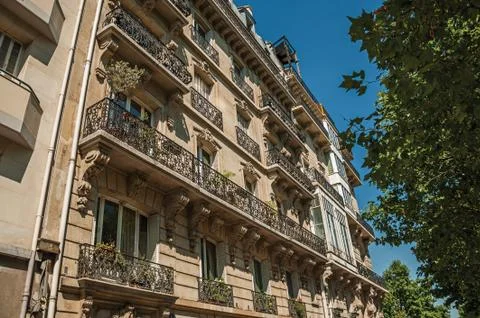 Leafy trees and building made in Parisian style at Paris Stock Photos