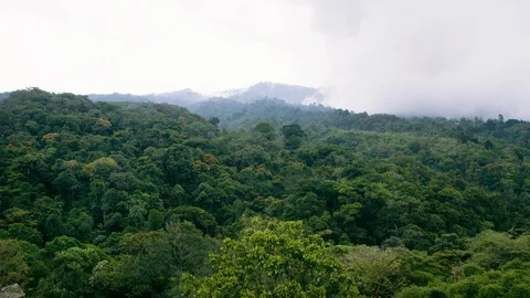 Leafy trees near Poas Volcano with smoke flying through it, Costa Rica Vidéo 123731248