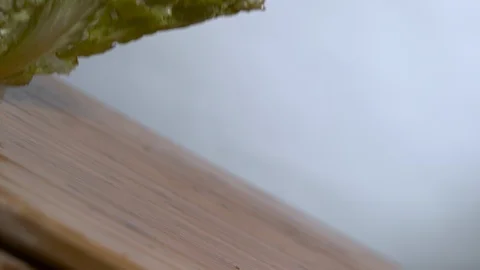 Leafy vegetables falling in slow motion onto a wooden surface Stock Footage 100008016