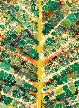 Leafy veins Stock Illustration