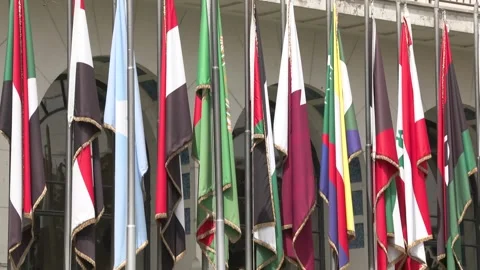 The League of Arab States Video stock 282393390