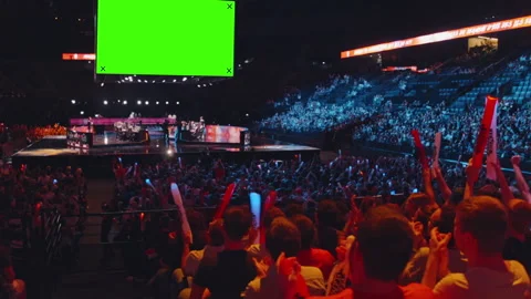 League of Legends Final. Spectators enjoying the esports competition. Chroma. Stock Footage 155296539