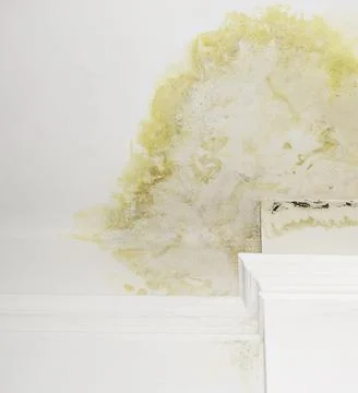 Leak on the ceiling close-up. Consequences of an upstairs burst pipe. Urgen.. Stock Photos