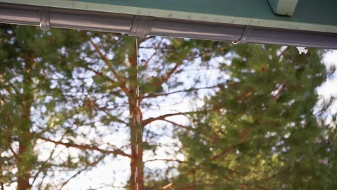 Roof Leak Stock Video Footage | Royalty Free Roof Leak Videos | Pond5