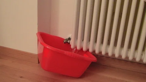 Leak radiator Stock Footage 122278944