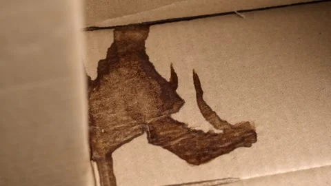 Leakage damage to cardboard parcel box Stock Footage 329891827