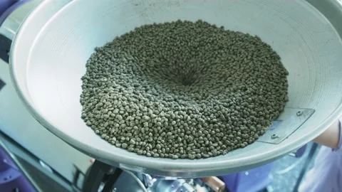 Leakage of raw coffee beans. Vídeos de archivo 142011983