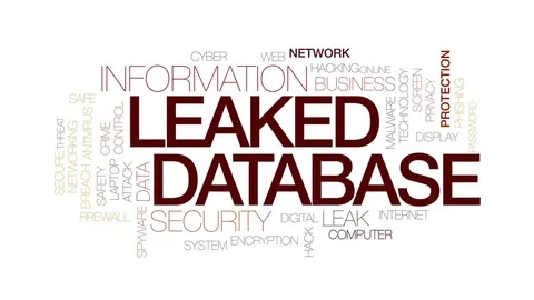 Database Design Stock Videos – Royalty-Free HD & 4K Videos | Pond5