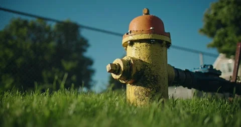 Leaking Fire Hydrant in Grass Closeup. Water Dripping from Leaky Pipe Vidéo 203716573