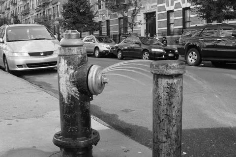 Leaking Fire Hydrant Stock Photos
