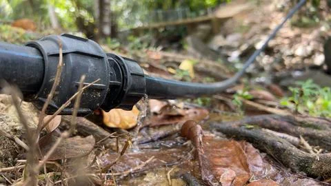 Leaking Pipe Connector in Outdoor Setting Stock Photos