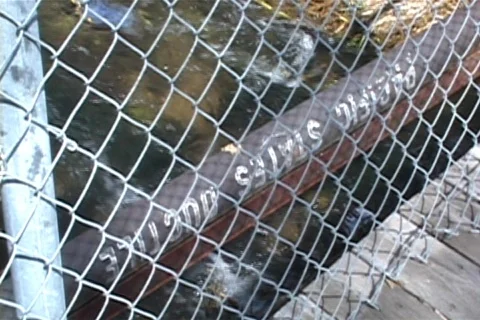 Leaking Into Water Supply Stock Footage 704411