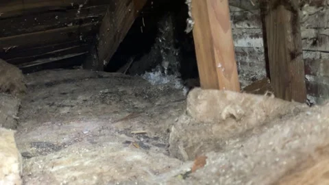 Leaky roof in attic Video stock 329449115