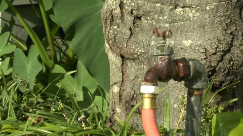 Leaky Spout 1 Video stock 27872230