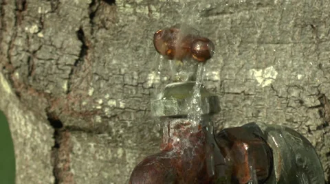 Leaky Spout 2 Video stock 27871871