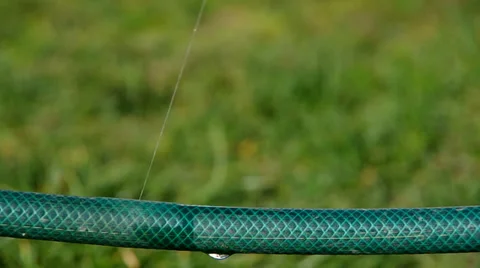 Leaky water hose Stock Footage 36740646