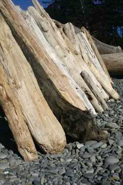 Lean to on beach Stock Photos