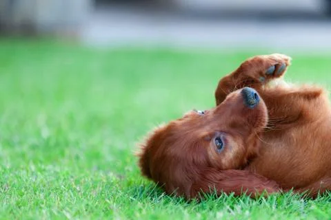 Lean on Me Stock Photos