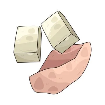 Lean Protein illustration Stock Illustration