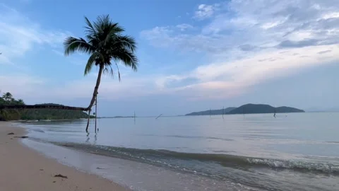 A leaning coconut tree on a tropical beach with calm waves and a blue sky Stock Footage 304653071
