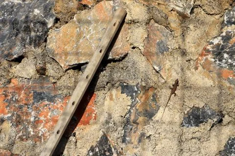 Leaning log and lizard on the stone wall with checkered shadow. Stock Photos