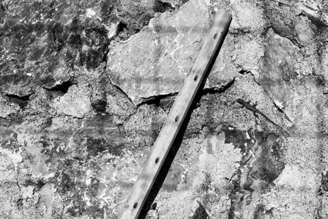 Leaning log and lizard on the stone wall with checkered shadow. Black and whi Stock Photos