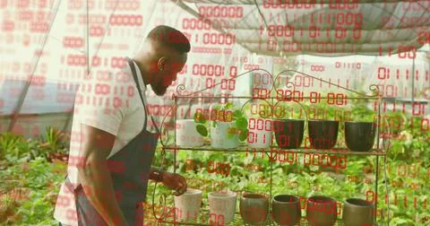 Leaning man wearing apron checking seedling pot on metal shelving in greenhou Stockfoto's