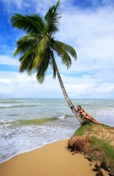 Leaning palm tree at las terrenas beach, samana peninsula 스톡 사진